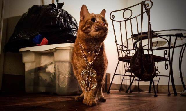 morning picdump 53 pics 13.html - 53 HD Photos | Premium Gallery 2018