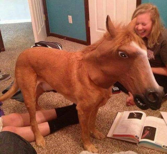 morning picdump 53 pics 13.html - 53 HD Photos | Premium Gallery 2018