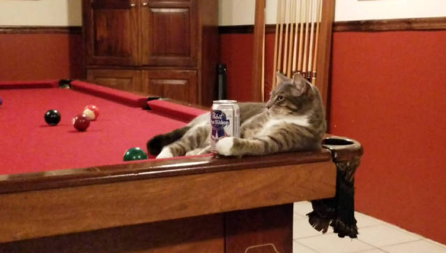 morning picdump 53 pics 13.html - 53 HD Photos | Premium Gallery 2018