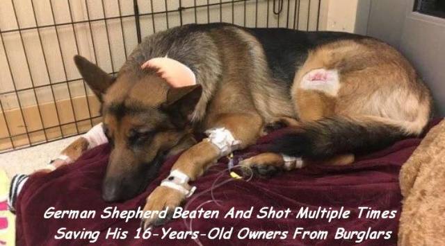 daily picdump 94 pics 30.html - 94 HD Photos | Premium Gallery 2018