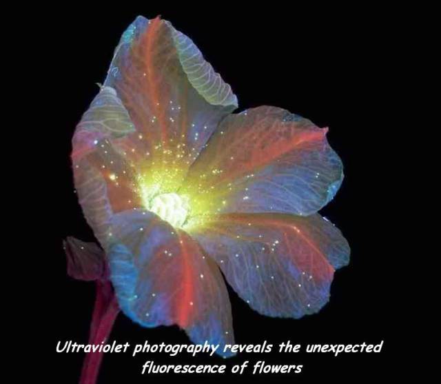 daily picdump 94 pics 30.html - 94 HD Photos | Premium Gallery 2018