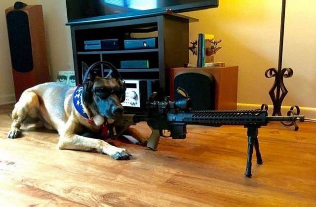 daily picdump 94 pics 30.html - 94 HD Photos | Premium Gallery 2018