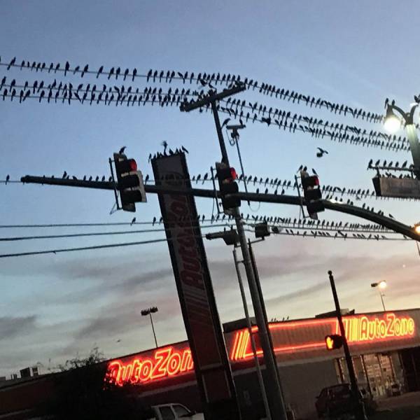 daily picdump 94 pics 30.html - 94 HD Photos | Premium Gallery 2018