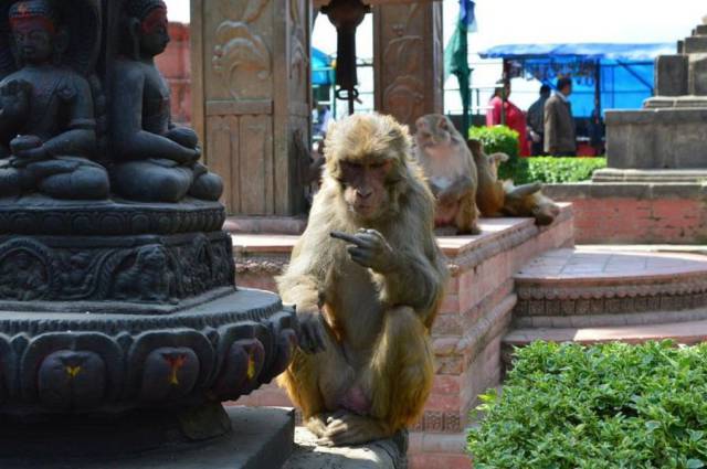 daily picdump 94 pics 30.html - 94 HD Photos | Premium Gallery 2018