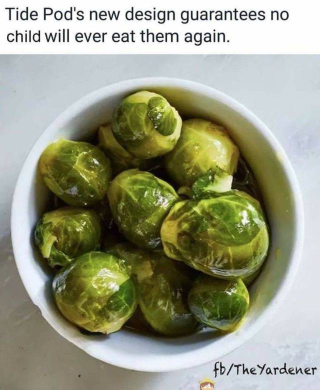 daily picdump 94 pics 30.html - 94 HD Photos | Premium Gallery 2018