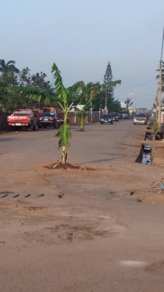 morning picdump 50 pics 24.html - 50 HD Photos | Premium Gallery 2018