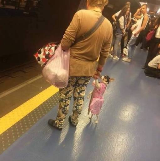 morning picdump 50 pics 24.html - 50 HD Photos | Premium Gallery 2018