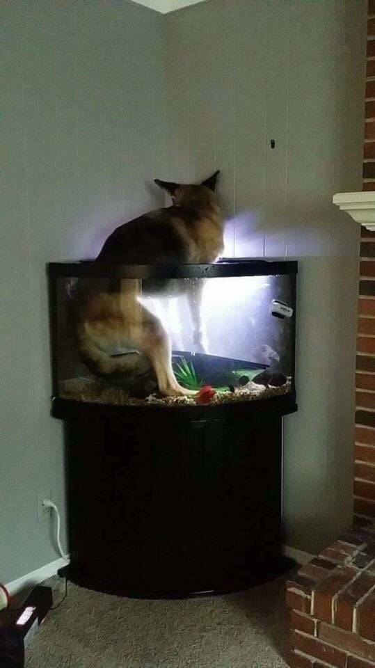 morning picdump 50 pics 24.html - 50 HD Photos | Premium Gallery 2018