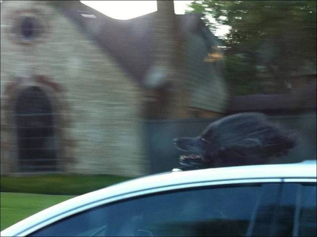 daily picdump weekend edition 61 pics 5.html - 61 HD Photos | Premium Gallery 2018