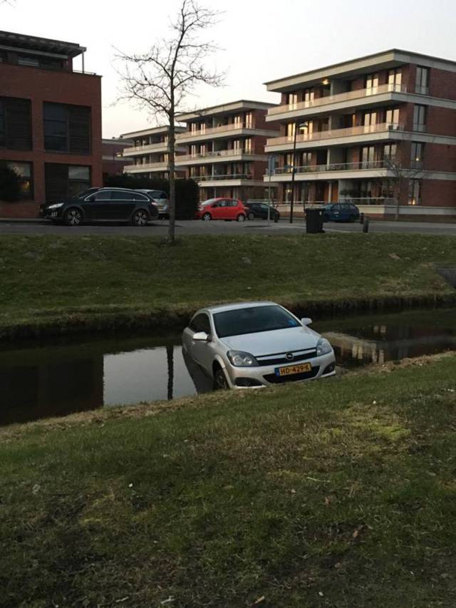 daily picdump weekend edition 61 pics 5.html - 61 HD Photos | Premium Gallery 2018