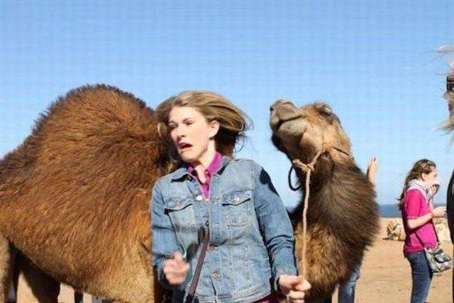 daily picdump 97 pics 23.html - 97 HD Photos | Premium Gallery 2018