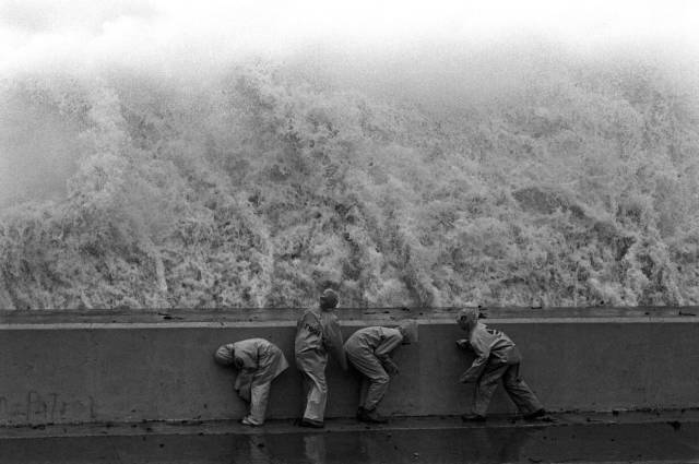 daily picdump 97 pics 23.html - 97 HD Photos | Premium Gallery 2018