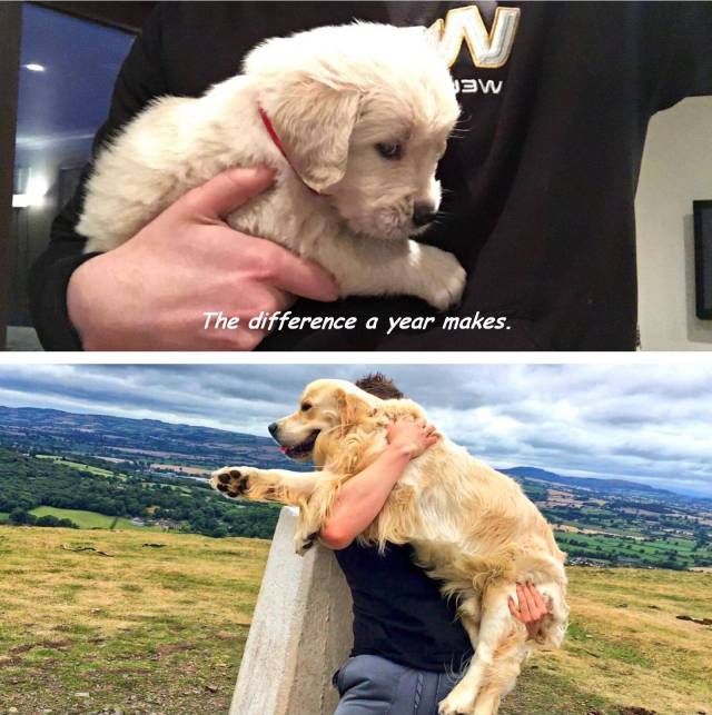 daily picdump 97 pics 23.html - 97 HD Photos | Premium Gallery 2018