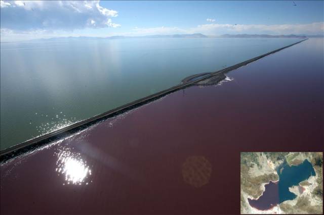 daily picdump 99 pics 4.html - 99 HD Photos | Premium Gallery 2018