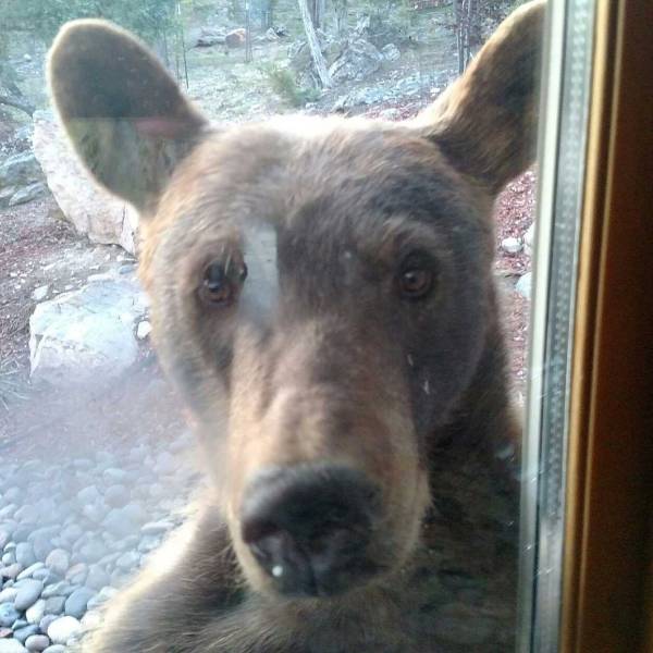 daily picdump 99 pics 4.html - 99 HD Photos | Premium Gallery 2018