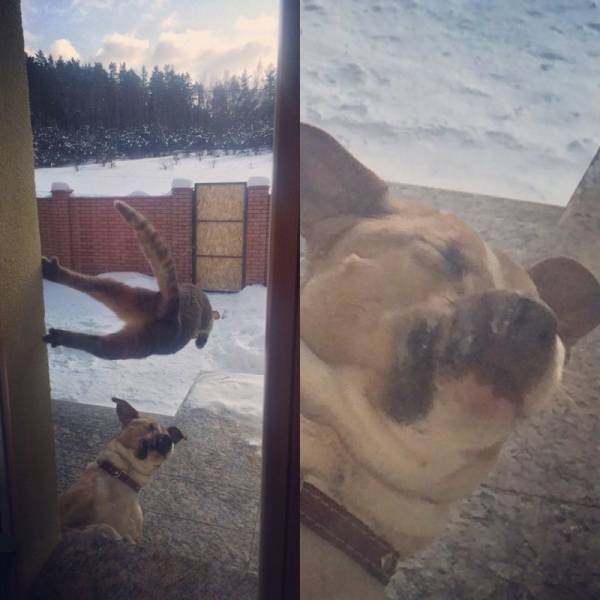 daily picdump 99 pics 4.html - 99 HD Photos | Premium Gallery 2018