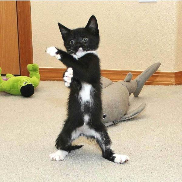 daily picdump 99 pics 4.html - 99 HD Photos | Premium Gallery 2018