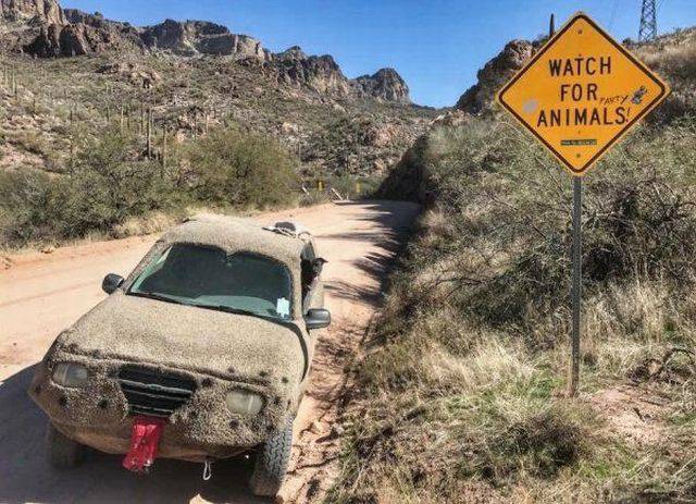 daily picdump 99 pics 4.html - 99 HD Photos | Premium Gallery 2018