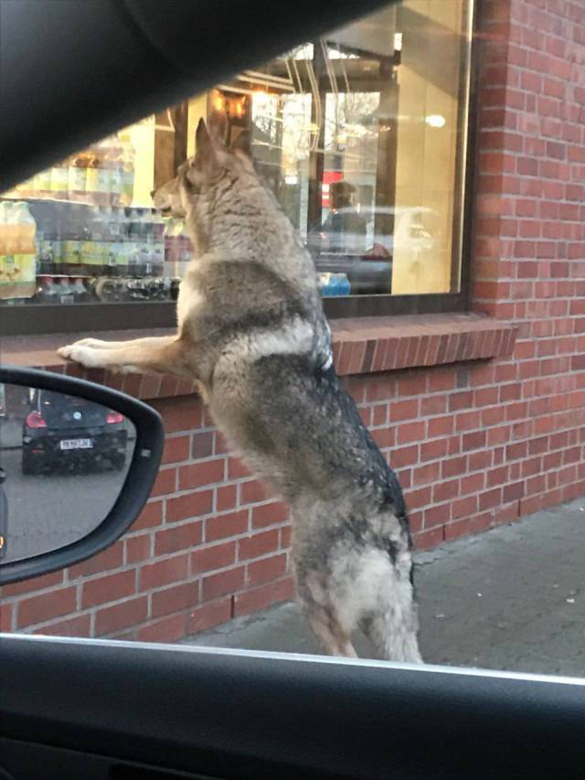 daily picdump 99 pics 4.html - 99 HD Photos | Premium Gallery 2018