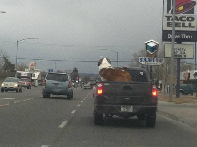 morning picdump 51 pics 3.html - 51 HD Photos | Premium Gallery 2018