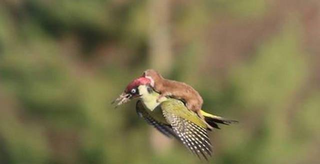 morning picdump 51 pics 3.html - 51 HD Photos | Premium Gallery 2018