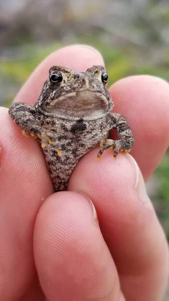 morning picdump 51 pics 3.html - 51 HD Photos | Premium Gallery 2018