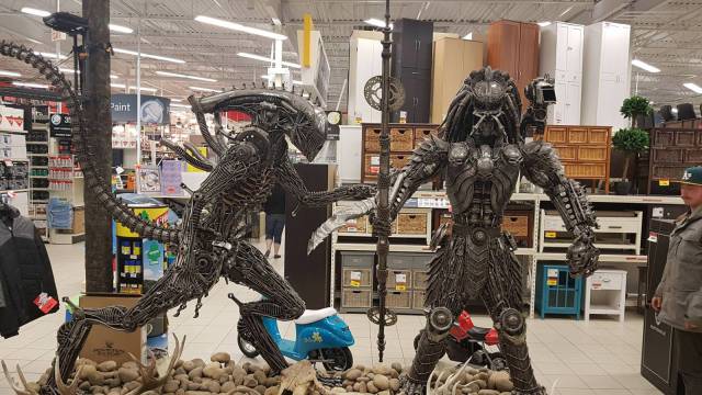 daily picdump 96 pics 13.html - 96 HD Photos | Premium Gallery 2018