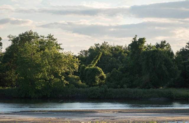 daily picdump 96 pics 13.html - 96 HD Photos | Premium Gallery 2018