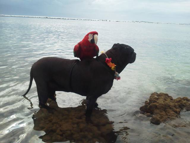 daily picdump 96 pics 13.html - 96 HD Photos | Premium Gallery 2018