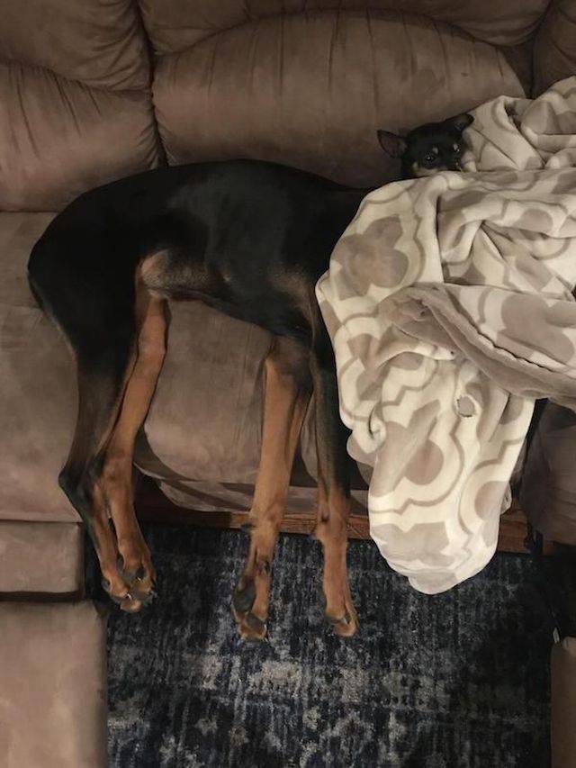 daily picdump 96 pics 13.html - 96 HD Photos | Premium Gallery 2018