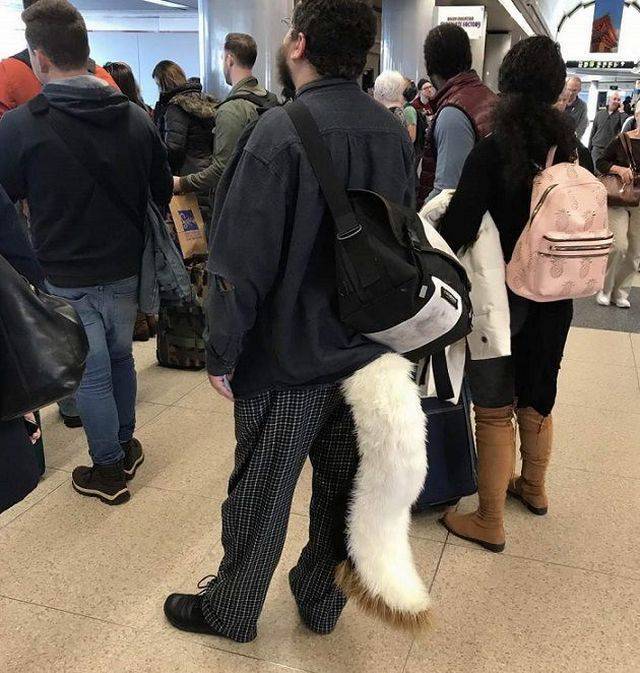 daily picdump 96 pics 13.html - 96 HD Photos | Premium Gallery 2018