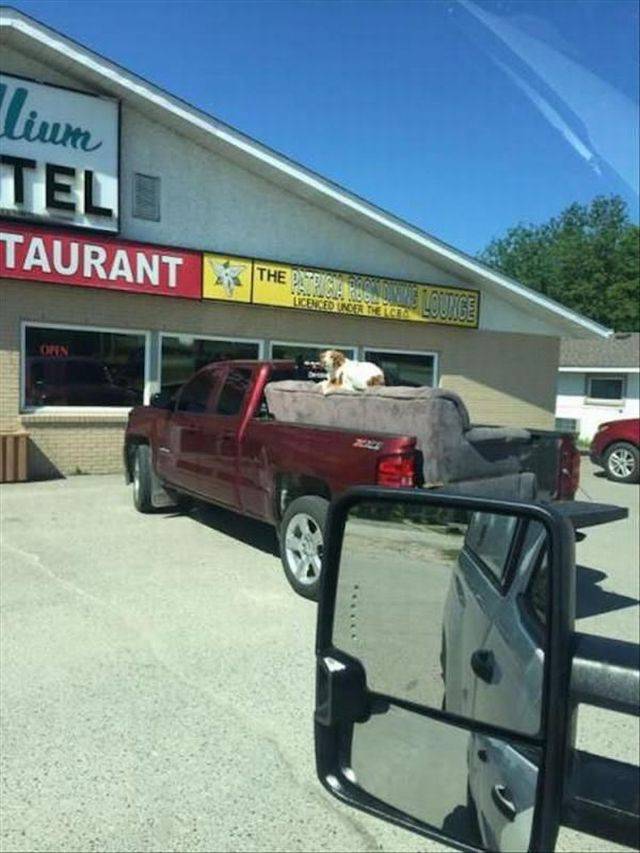 daily picdump 96 pics 13.html - 96 HD Photos | Premium Gallery 2018