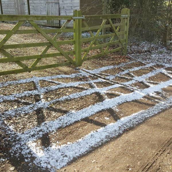 morning picdump 51 pics 2.html - 51 HD Photos | Premium Gallery 2018