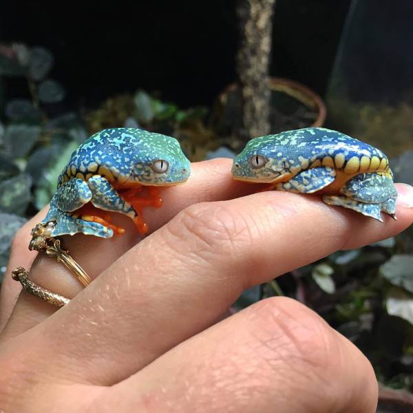 morning picdump 51 pics 2.html - 51 HD Photos | Premium Gallery 2018