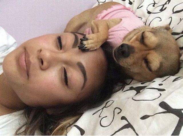 daily picdump 96 pics 38.html - 96 HD Photos | Premium Gallery 2018