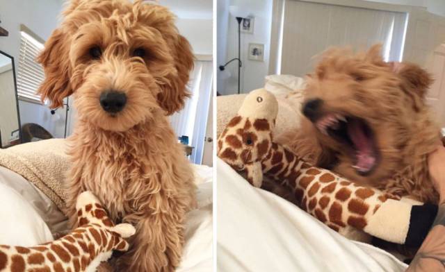 daily picdump 96 pics 38.html - 96 HD Photos | Premium Gallery 2018