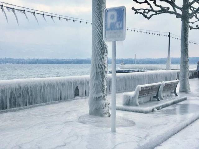 daily picdump 96 pics 38.html - 96 HD Photos | Premium Gallery 2018