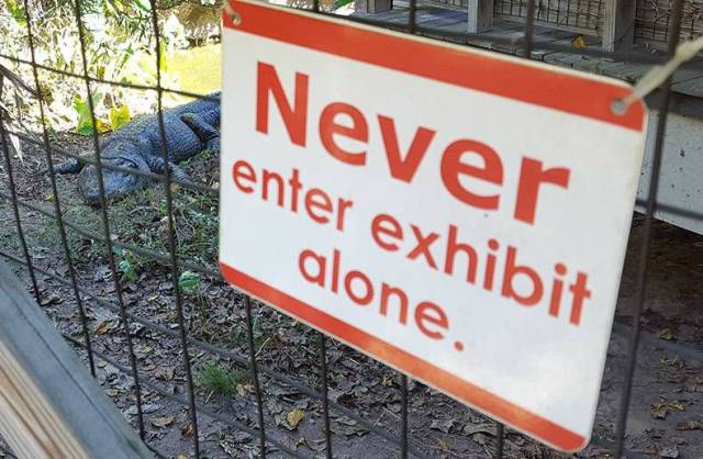 daily picdump 96 pics 38.html - 96 HD Photos | Premium Gallery 2018