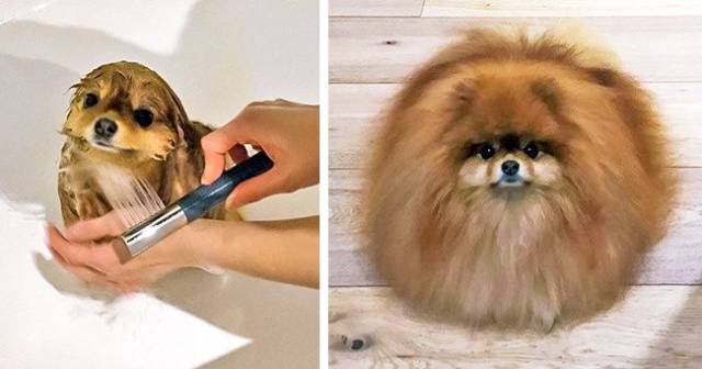 daily picdump 96 pics 38.html - 96 HD Photos | Premium Gallery 2018