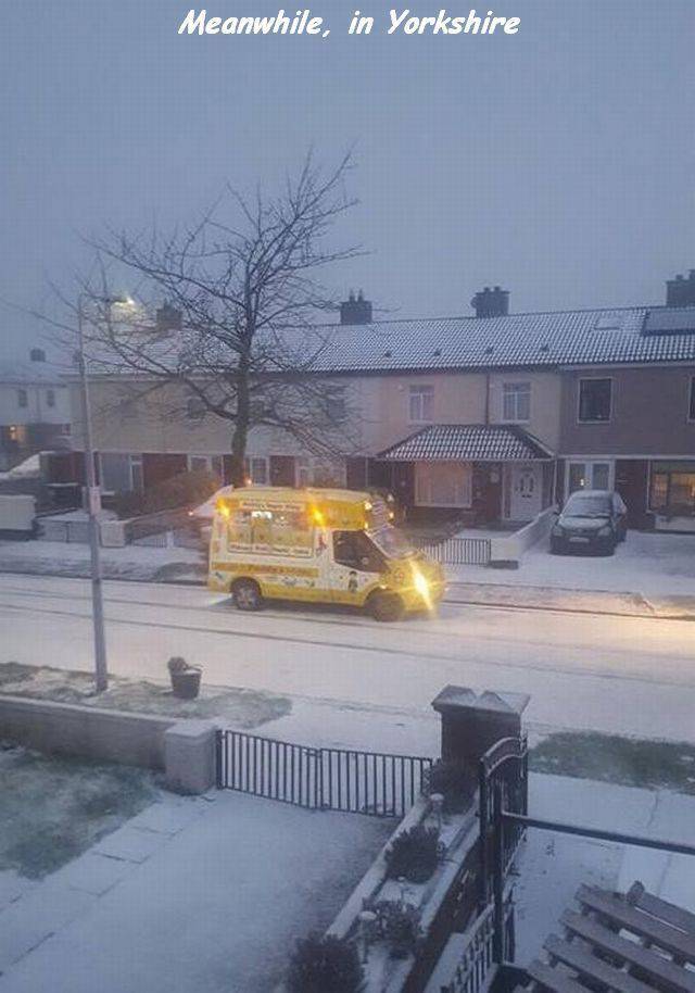 daily picdump 96 pics 38.html - 96 HD Photos | Premium Gallery 2018