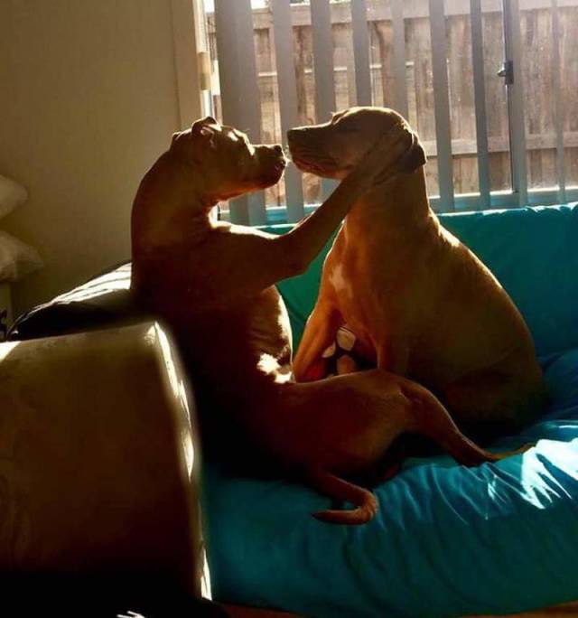 daily picdump 96 pics 38.html - 96 HD Photos | Premium Gallery 2018