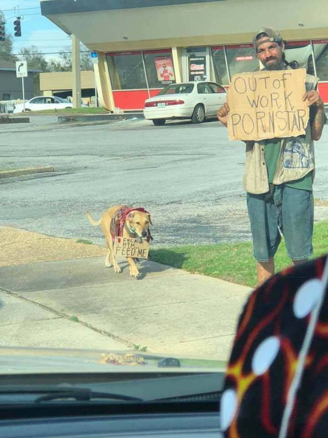 daily picdump 96 pics 38.html - 96 HD Photos | Premium Gallery 2018