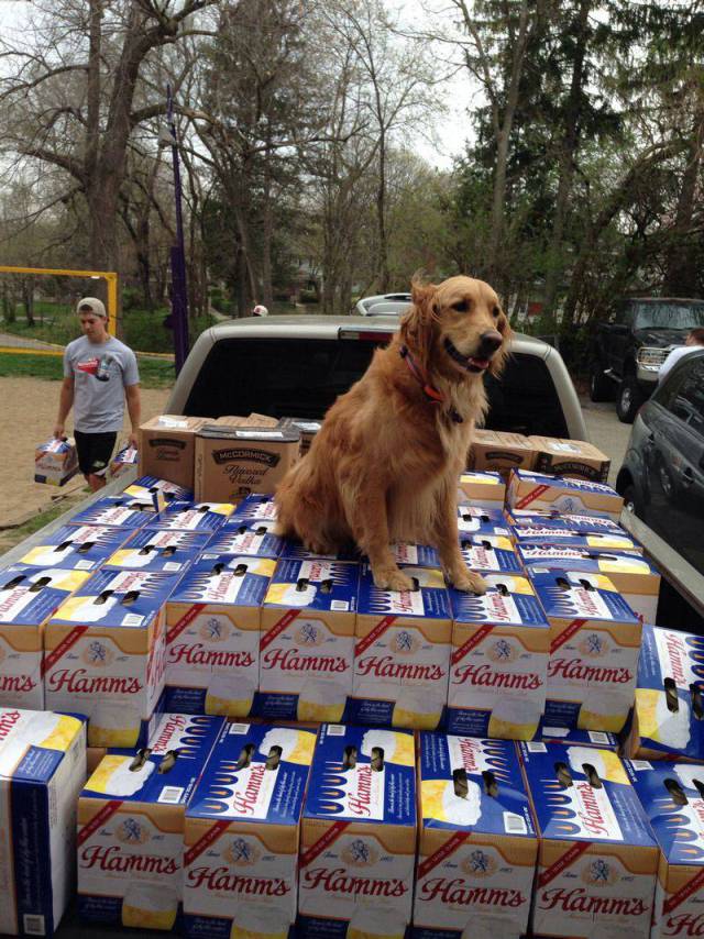 daily picdump 96 pics 38.html - 96 HD Photos | Premium Gallery 2018