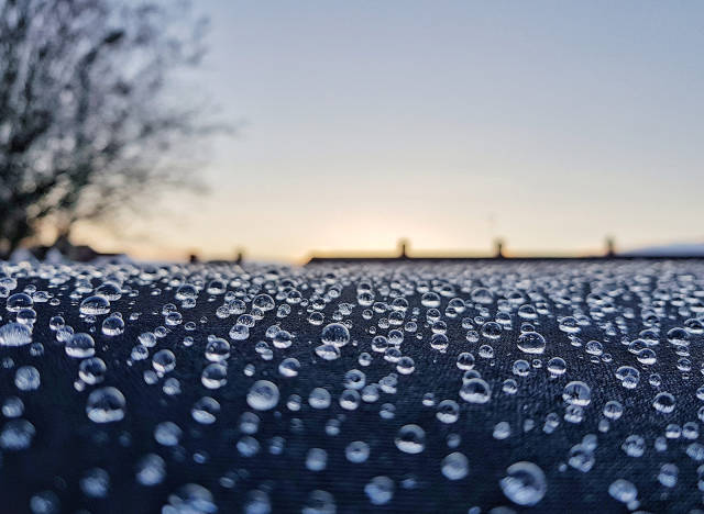 morning picdump 50 pics 4.html - 50 HD Photos | Premium Gallery 2018