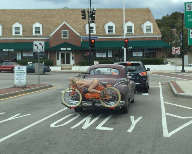 morning picdump 50 pics 4.html - 50 HD Photos | Premium Gallery 2018