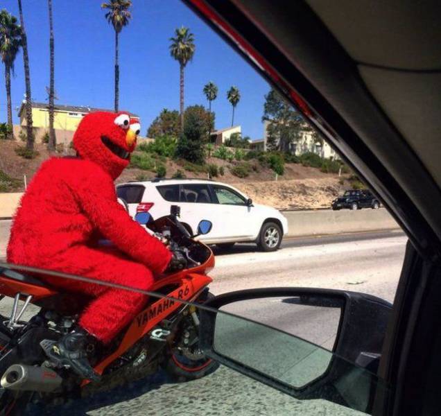 daily picdump 93 pics 14.html - 93 HD Photos | Premium Gallery 2018