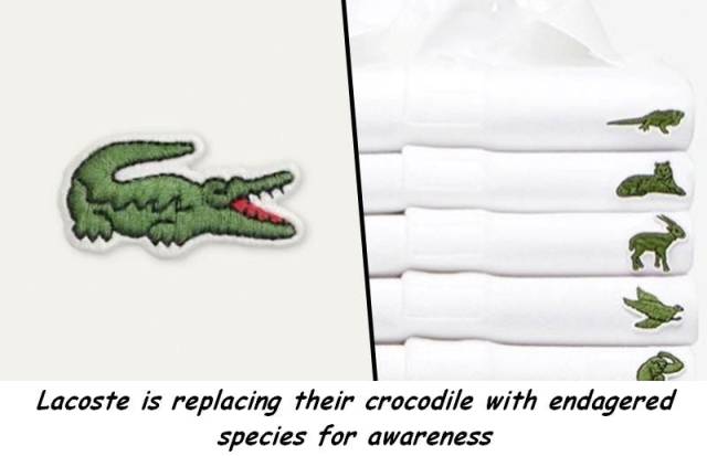 daily picdump 93 pics 14.html - 93 HD Photos | Premium Gallery 2018