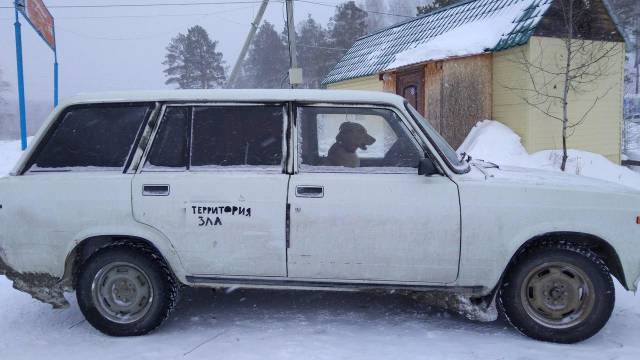 daily picdump 93 pics 14.html - 93 HD Photos | Premium Gallery 2018