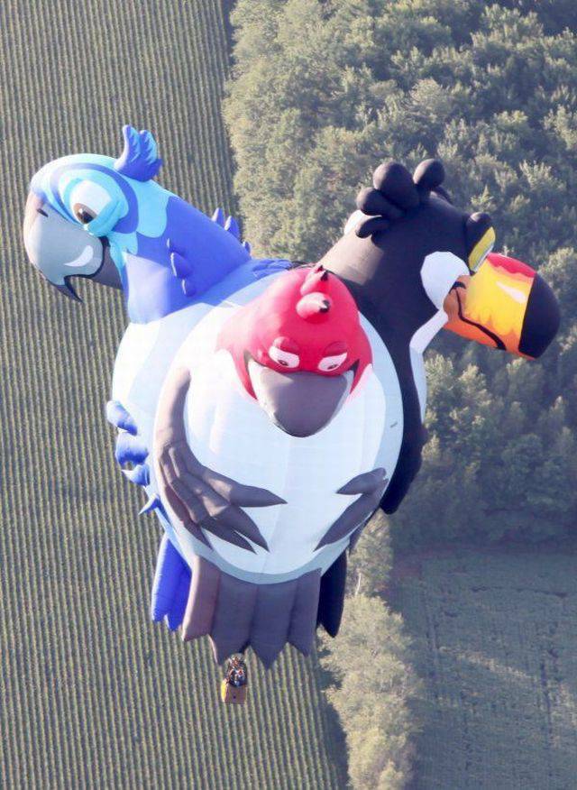 daily picdump 93 pics 14.html - 93 HD Photos | Premium Gallery 2018