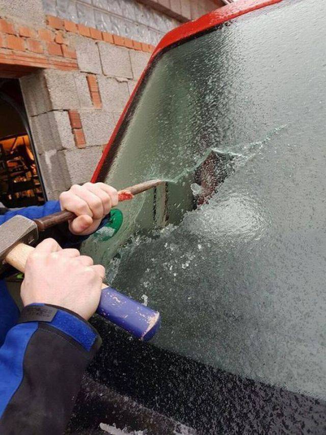 daily picdump 93 pics 14.html - 93 HD Photos | Premium Gallery 2018